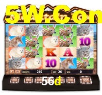 56d cassino